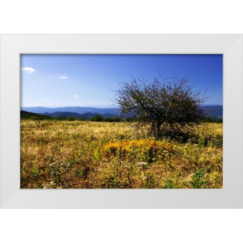 Distant Mountains III White Modern Wood Framed Art Print by Hausenflock, Alan