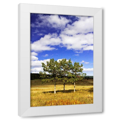 Autumn Fields IV White Modern Wood Framed Art Print by Hausenflock, Alan