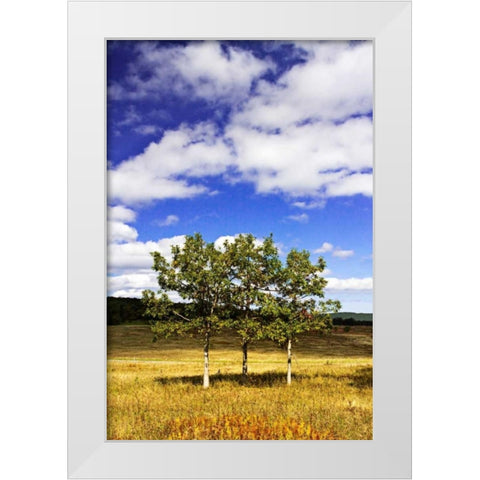 Autumn Fields IV White Modern Wood Framed Art Print by Hausenflock, Alan