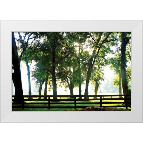 Misty Sunrise II White Modern Wood Framed Art Print by Hausenflock, Alan