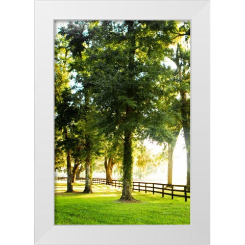 Misty Sunrise IV White Modern Wood Framed Art Print by Hausenflock, Alan