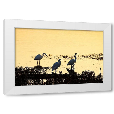 Egrets in the Sunrise I White Modern Wood Framed Art Print by Hausenflock, Alan