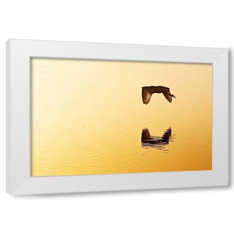 Egrets in the Sunrise III White Modern Wood Framed Art Print by Hausenflock, Alan
