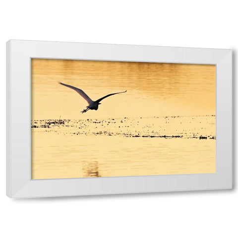 Egrets in the Sunrise IV White Modern Wood Framed Art Print by Hausenflock, Alan