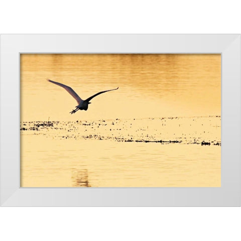 Egrets in the Sunrise IV White Modern Wood Framed Art Print by Hausenflock, Alan