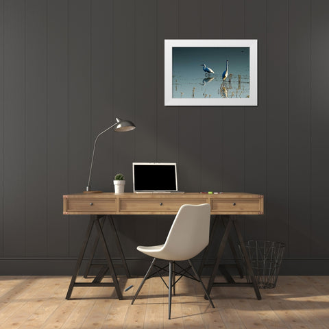 Early Morning Egrets II White Modern Wood Framed Art Print by Hausenflock, Alan