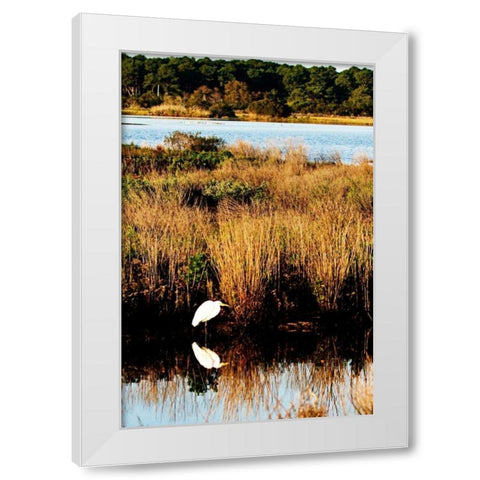 Assateague Island I White Modern Wood Framed Art Print by Hausenflock, Alan