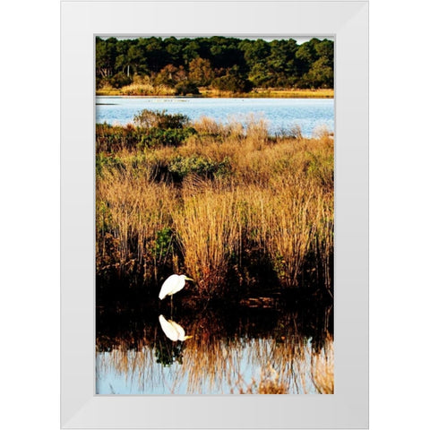 Assateague Island I White Modern Wood Framed Art Print by Hausenflock, Alan