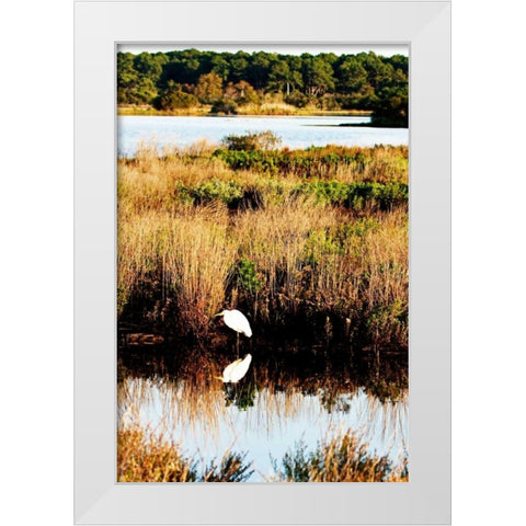 Assateague Island II White Modern Wood Framed Art Print by Hausenflock, Alan