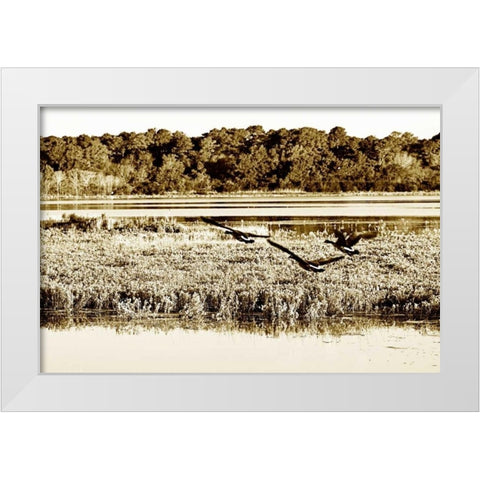 Assateague Island III White Modern Wood Framed Art Print by Hausenflock, Alan