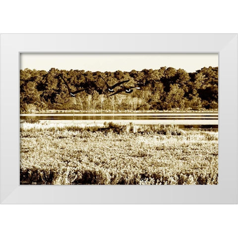 Assateague Island IV White Modern Wood Framed Art Print by Hausenflock, Alan