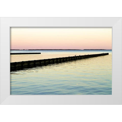 Toward the Horizon IV White Modern Wood Framed Art Print by Hausenflock, Alan