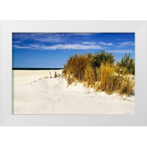 Assateague Beach IV White Modern Wood Framed Art Print by Hausenflock, Alan