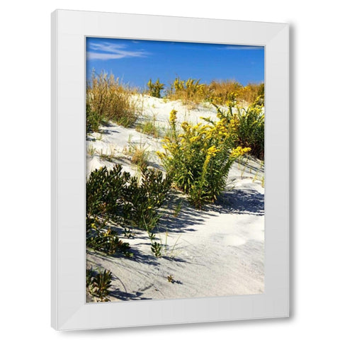 Assateague Beach VI White Modern Wood Framed Art Print by Hausenflock, Alan