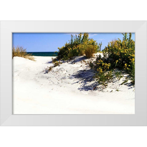 Assateague Beach VIII White Modern Wood Framed Art Print by Hausenflock, Alan