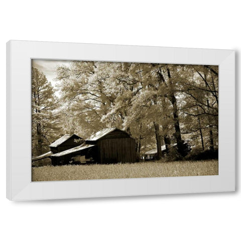 Tobacco Road White Modern Wood Framed Art Print by Hausenflock, Alan