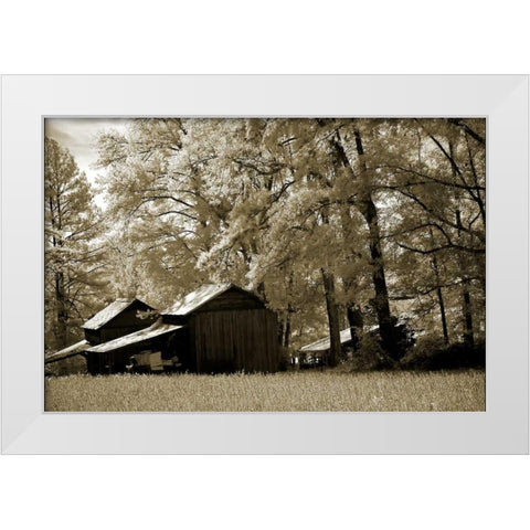 Tobacco Road White Modern Wood Framed Art Print by Hausenflock, Alan