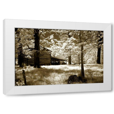 Smokehouse White Modern Wood Framed Art Print by Hausenflock, Alan