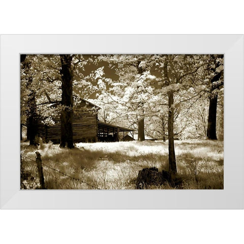 Smokehouse White Modern Wood Framed Art Print by Hausenflock, Alan