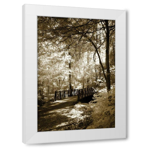 Summer Bridge White Modern Wood Framed Art Print by Hausenflock, Alan