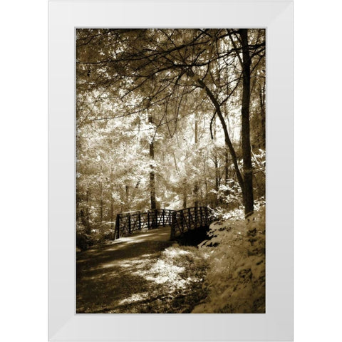 Summer Bridge White Modern Wood Framed Art Print by Hausenflock, Alan