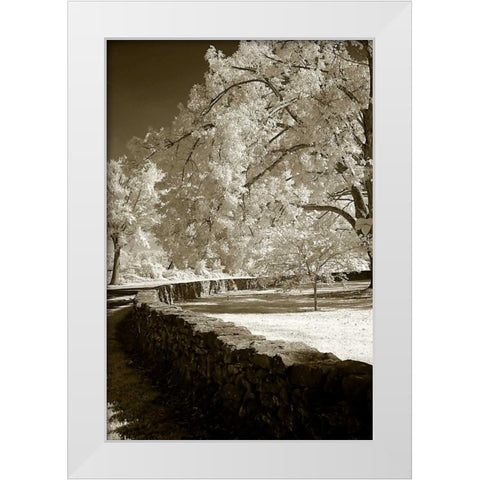 Seminary Wall White Modern Wood Framed Art Print by Hausenflock, Alan