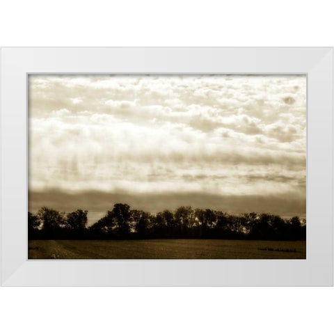Clouds and Fields I White Modern Wood Framed Art Print by Hausenflock, Alan
