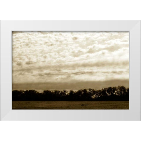 Clouds and Fields II White Modern Wood Framed Art Print by Hausenflock, Alan