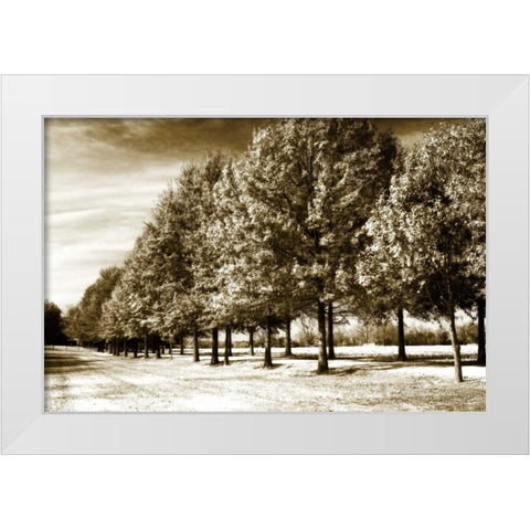 Plantation Road II White Modern Wood Framed Art Print by Hausenflock, Alan