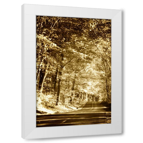 Autumn Wood Road III White Modern Wood Framed Art Print by Hausenflock, Alan