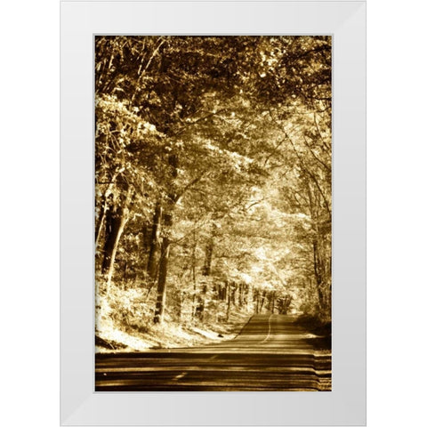 Autumn Wood Road III White Modern Wood Framed Art Print by Hausenflock, Alan