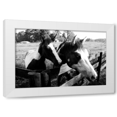 Stormy and Foal II White Modern Wood Framed Art Print by Hausenflock, Alan