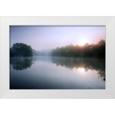 Fog on the Mattaponi VIII White Modern Wood Framed Art Print by Hausenflock, Alan