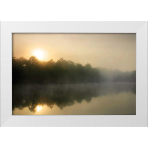 Fog on the Mattaponi III White Modern Wood Framed Art Print by Hausenflock, Alan