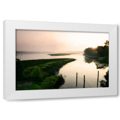 Fog on the Mattaponi VI White Modern Wood Framed Art Print by Hausenflock, Alan