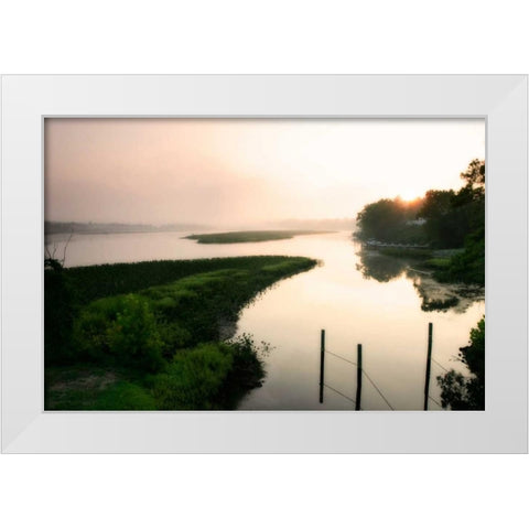 Fog on the Mattaponi VI White Modern Wood Framed Art Print by Hausenflock, Alan