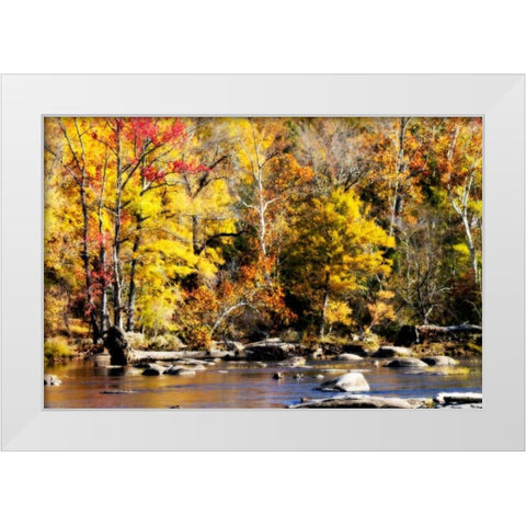 Autumn on the River VII White Modern Wood Framed Art Print by Hausenflock, Alan