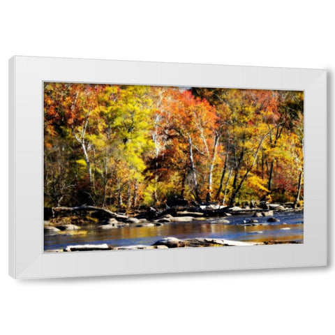 Autumn on the River VIII White Modern Wood Framed Art Print by Hausenflock, Alan