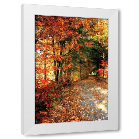 Autumn Pathway White Modern Wood Framed Art Print by Hausenflock, Alan