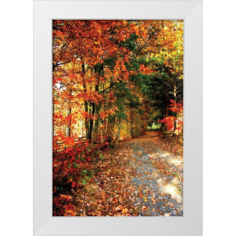 Autumn Pathway White Modern Wood Framed Art Print by Hausenflock, Alan