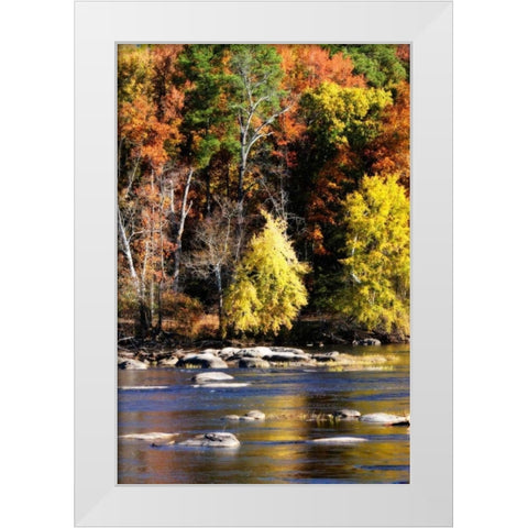 Autumn on the River IX White Modern Wood Framed Art Print by Hausenflock, Alan