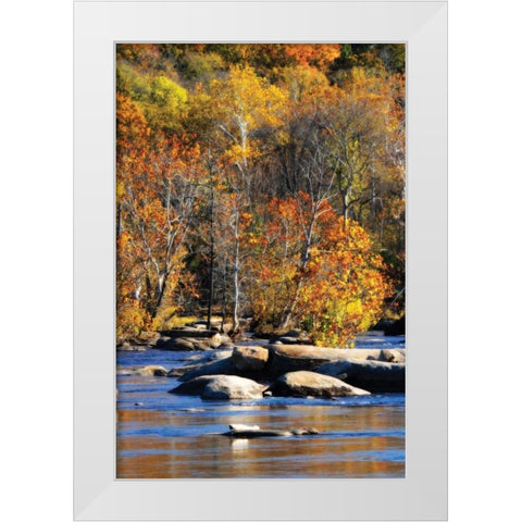 Autumn on the River I0 White Modern Wood Framed Art Print by Hausenflock, Alan