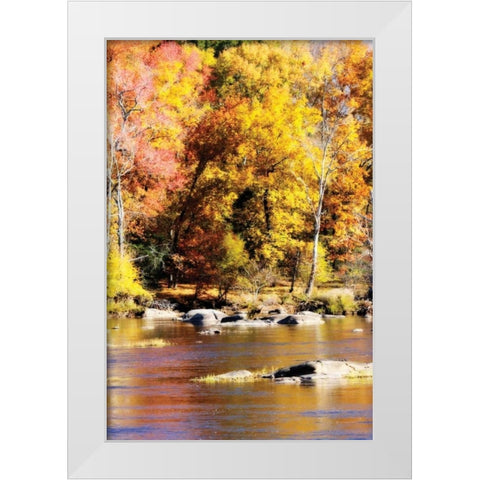 Autumn on the River II White Modern Wood Framed Art Print by Hausenflock, Alan