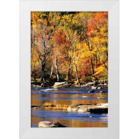 Autumn on the River I2 White Modern Wood Framed Art Print by Hausenflock, Alan