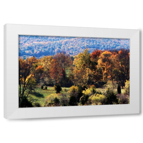 Autumn Foothills I White Modern Wood Framed Art Print by Hausenflock, Alan