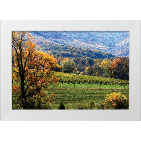 Autumn Foothills II White Modern Wood Framed Art Print by Hausenflock, Alan