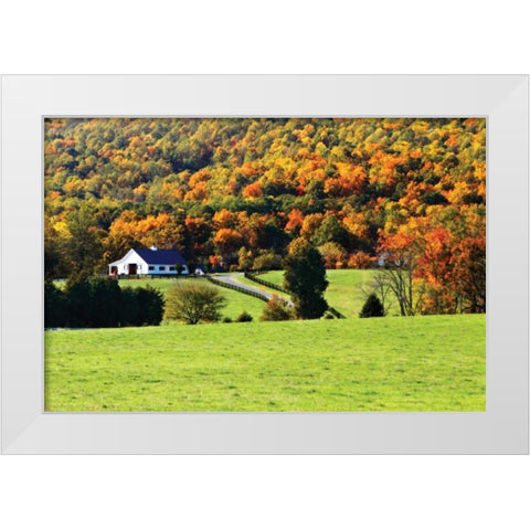 Mountain Farm I White Modern Wood Framed Art Print by Hausenflock, Alan