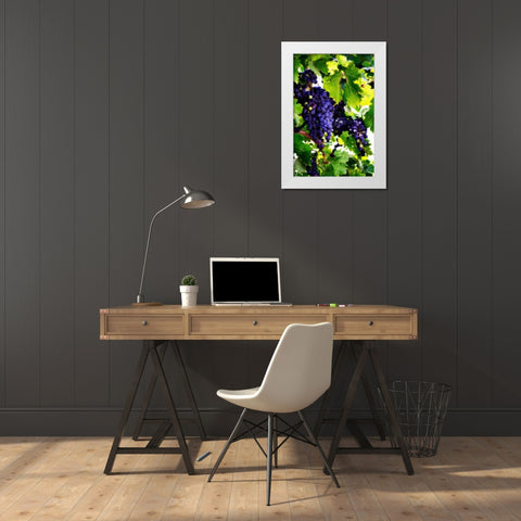 Grapes I White Modern Wood Framed Art Print by Hausenflock, Alan