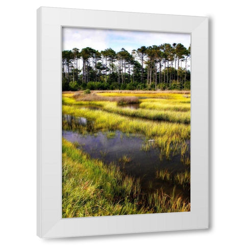 Down East II White Modern Wood Framed Art Print by Hausenflock, Alan