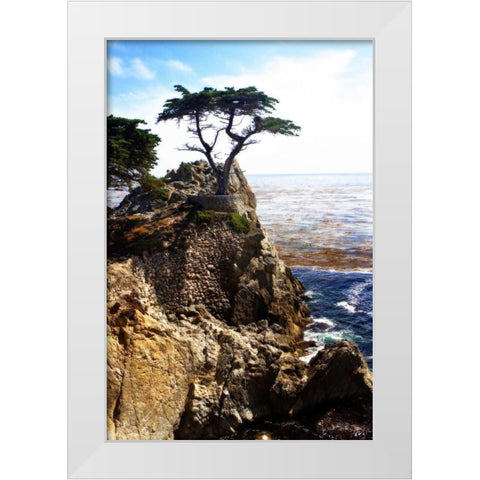 Lone Cypress I White Modern Wood Framed Art Print by Hausenflock, Alan